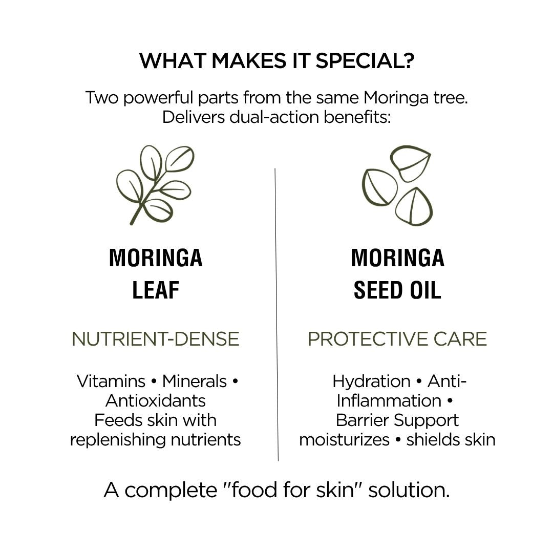 Moringa Leaf + Seed Synergy Oil – Organic Face & Body Oil for Hydration, Skin Repair & Antioxidant Protection 2oz-3